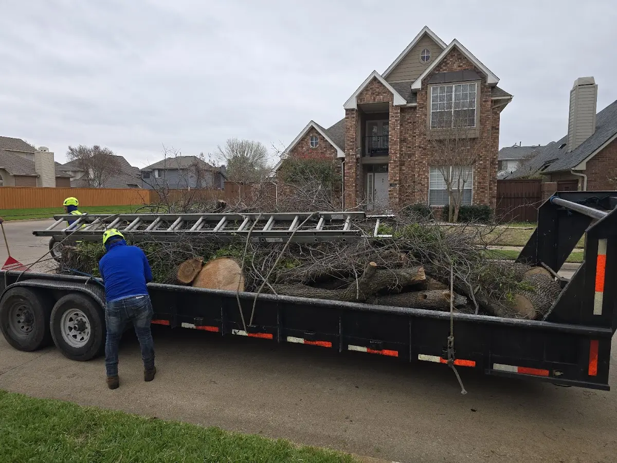 Expert Tree Removal with proper safety equipment in Leonardville
